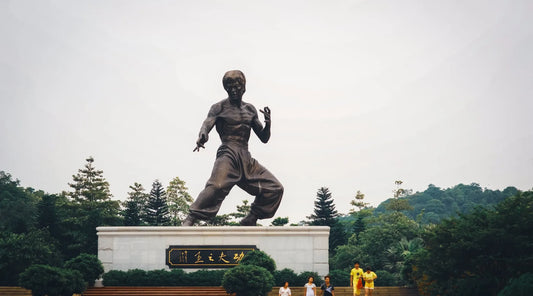 China's Kung Fu Legacy: A Stylish Expression of National Pride