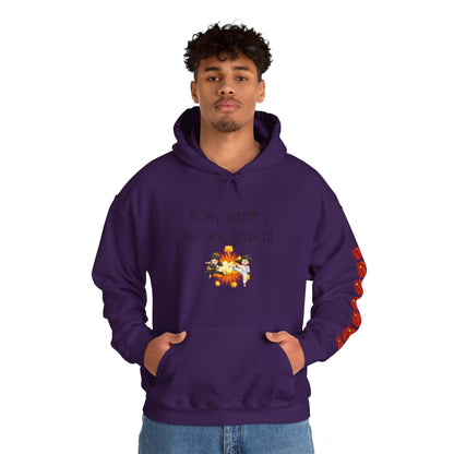 Pride of China hoodie