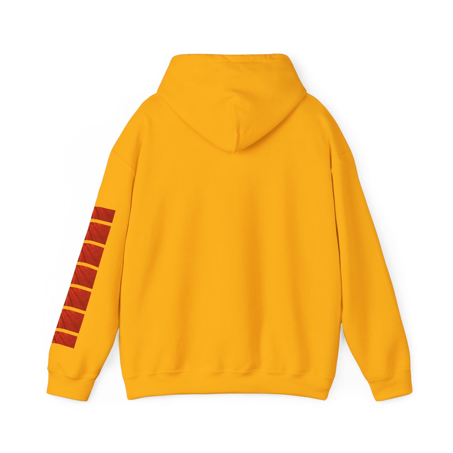 Pride of China hoodie