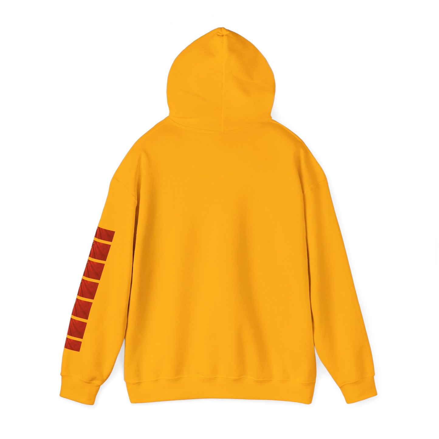 Pride of China hoodie